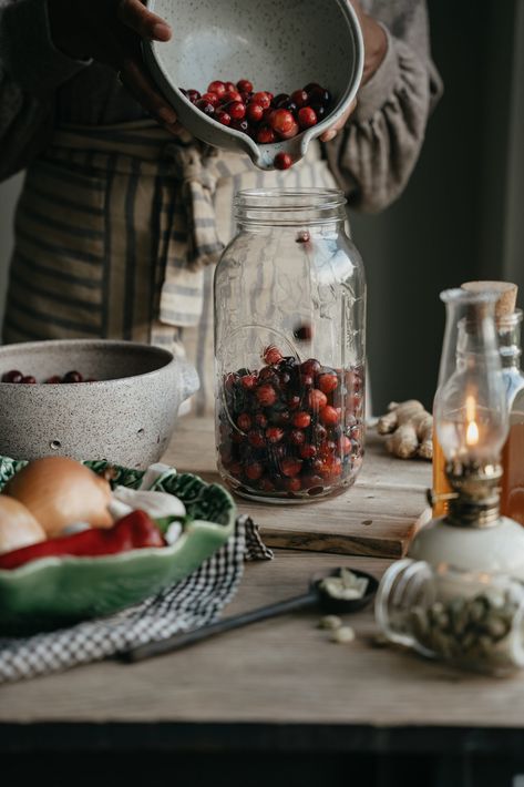 Herbalist Kitchen, Herbal Salve Recipes, Fire Cider Recipe, Herbal Academy, Herbal Education, Herbal Remedies Recipes, Salve Recipes, Fire Cider, Harvesting Herbs