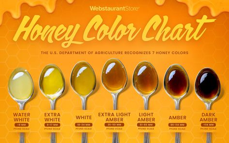 Types of Honey: 11 Honey Varieties, Uses, & More Honey Pictures Aesthetic, Honey Name, Honey Facts, Honey Pictures, Honey Bee Farming, Honey Ideas, Cooking With Honey, Honey Bee Facts, Raw Honey Benefits