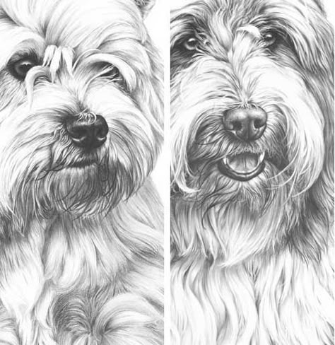 Negative Drawing, Dog Face Drawing, How To Draw Fur, Drawings Of Dogs, Dog Drawing Tutorial, Drawing Dogs, Dog Portraits Art, Pencil Drawing Tutorials, Drawings Tutorials