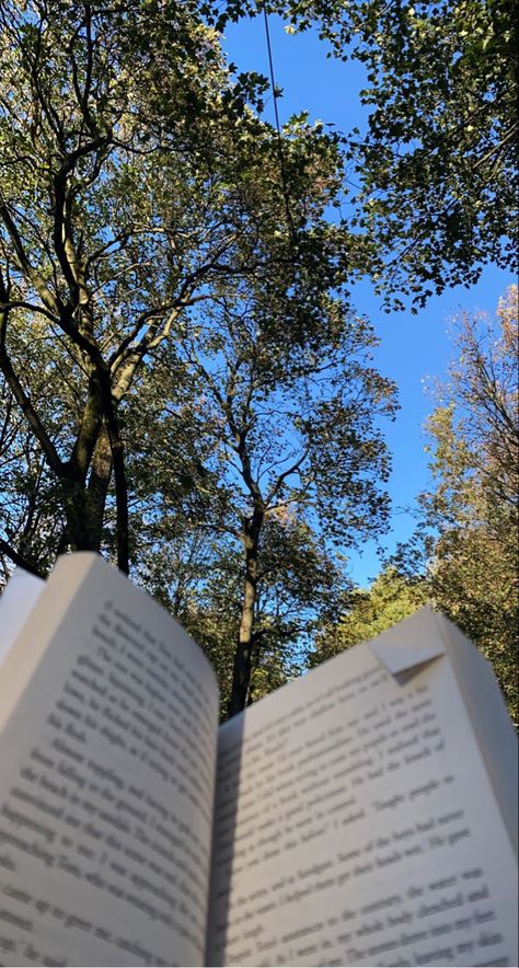 Reading Aesthetic Pics, Book In Forest Aesthetic, Book In Nature Aesthetic, Reading Under A Tree Aesthetic, Nature Book Aesthetic, Reading In Forest, Book In Nature, Flower Screensaver, Book Forest