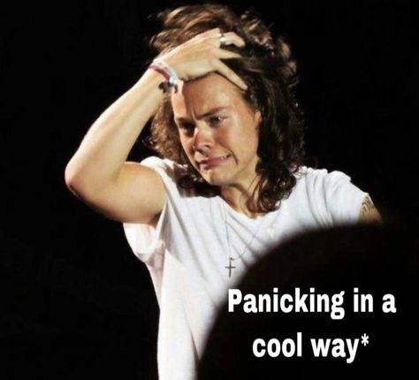 ✨ Harry Styles Memes Funny, One Direction Memes Funny, Harry Styles Memes, 5sos Memes, Response Memes, 1d Funny, Harry Styles Funny, One Direction Harry Styles, Reaction Face