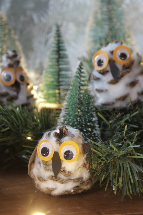 Make Pinecone Owls, fun Christmas craft with children — Hester's Handmade Home