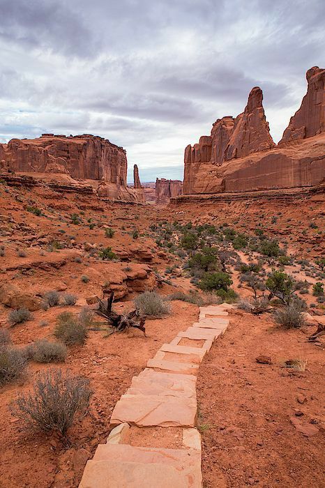 Desert Aesthetic, Capitol Reef National Park, National Park Road Trip, Red Rocks, Utah National Parks, Arches National Park, Park Avenue, Zion National Park, Road Trip Usa