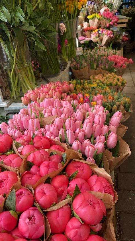 pink peonies & tulips🌷 Peonies And Tulips, Peony Tulips, Pink Tulips Bouquet, Boquette Flowers, Tulip Bouquet, Peonies Bouquet, Spring Vibes, Pink Tulips, Flower Bouquets