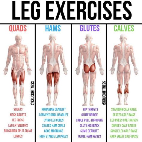 Muscle Groups To Workout, Leg Workouts Gym, Glute Kickbacks, Hamstring Workout, Leg Exercises, Leg Day Workouts, Trening Fitness, Leg Curl, Leg And Glute Workout