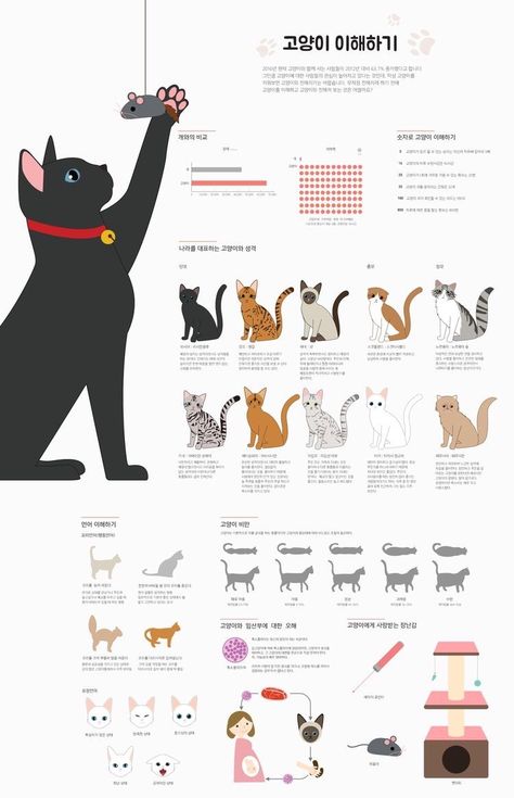 Pet Infographic, Cat Infographic, Animal Infographic, Feminist Artist, Infographic Inspiration, Paper Art Sculpture, Graphic Design Infographic, Infographic Poster, Infographic Illustration