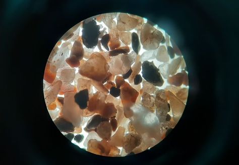 Intriguing: Sand particles as seen under a microscope with 400 times magnification Sand Microscope, Sand Under Microscope, Desert Nails, Microscope Pictures, Sand Particles, Under A Microscope, Year 7, Things Under A Microscope, Biology