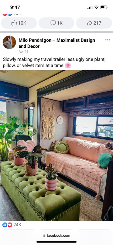 Plant Pillow, Maximalist Design, My Travel, Travel Trailer, Being Ugly, Trailer, Velvet, How To Plan, Pillows