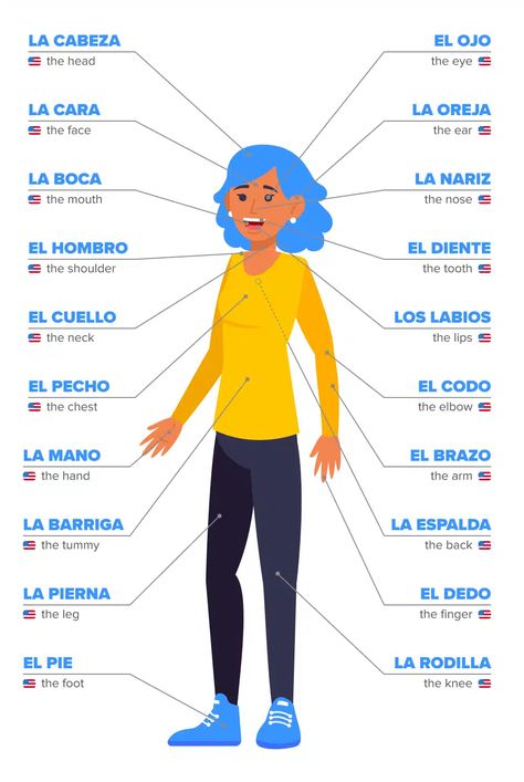 Body Parts in Spanish: 70+ Important Vocabulary Words Plus Helpful Grammar Tips! | FluentU Spanish Spanish Body Parts, Spanish Vocabulary List, Body Parts In Spanish, Spanish Help, Spanish Notes, Useful Spanish Phrases, Spanish Learning Activities, Spanish Words For Beginners, Basic Spanish Words