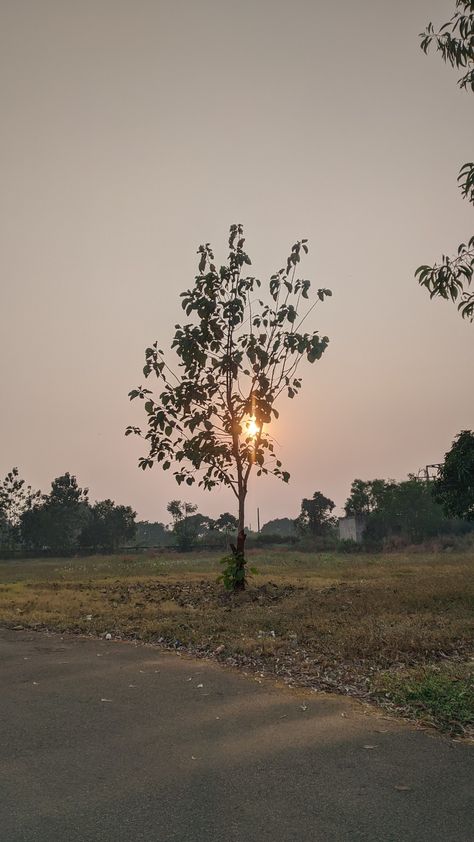 Afternoon Snap Ideas, Bike Riding Aesthetic, Village Aesthetic, Sky Photography Nature, Story Ideas Pictures, Photo Background Editor, Alam Yang Indah, Insta Instagram, Beautiful Nature Pictures