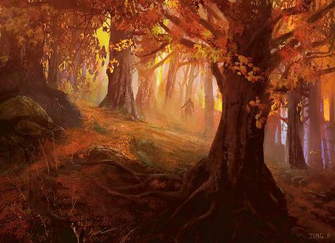 Jung Park - Forest - Avacyn Restored, C13 - 620x450 pixels Red Tree Fantasy Art, Fall Forest Fantasy Art, Autumn Forest Fantasy Art, Autumn Forest Art, Fantasy Autumn, Forest Falls, Forest Sunset, Park Forest, Fall Forest