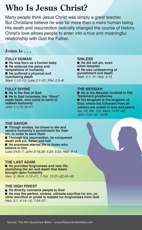 NIV QuickView Bible - Who is Jesus Christ? Passion Week, Quick View Bible, Godly Wisdom, Scripture Writing, Who Is Jesus, Bible Study Help, Bible Facts, Prayer Board, Bible Teachings