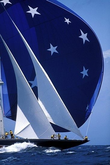 Navi A Vela, Sailing Vessel, Soyut Sanat Tabloları, Americas Cup, Yacht Boat, Yacht Design, White Stars, Sailing Yacht, Open Water