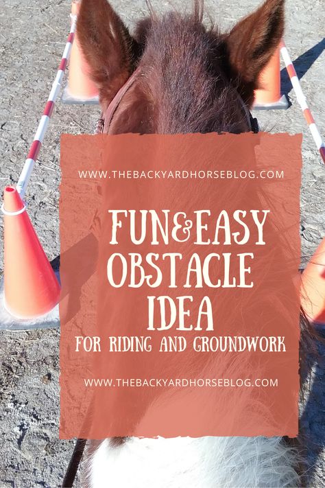 Obstacles For Horses Ideas, Obstacle Course For Horses, Horse Groundwork Exercises, Diy Horse Obstacles, Horse Obstacle Course Ideas Diy, Working Equitation Obstacles, Horse Obstacle Course Ideas, Horse Obstacle Course, Horse Groundwork