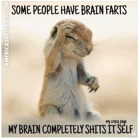 Chronic Illness Humor, Illness Humor, A Meme, Funny Cartoon Quotes, Cartoon Quotes, Sarcastic Quotes Funny, Funny Animal Memes, My Brain, Animal Jokes