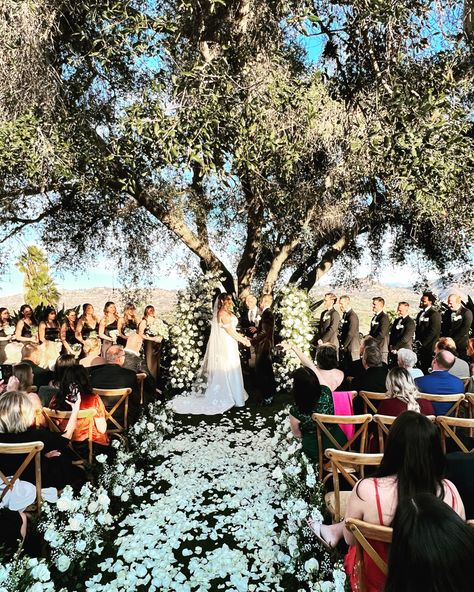 It was such a beautiful wedding for Alexa & Sean at Tivoli Italian Villa! Thank you for having us be part of your big day! This was one of our last weddings of 2022. #tivoliwedding #fallbrookweddingdj #fallbrookdj #dancingdjproductions Tivoli Italian Villa, Tivoli Italian Villa Fallbrook, Italian Villa, Wedding Dj, Big Day, Beautiful Weddings, Our Wedding, Wedding Flowers, Villa