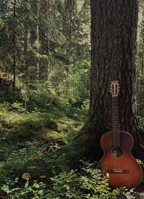 Guitar in the forest. Fotograf Forest Album Cover, Playing Guitar In Nature, Indie Music Aesthetic, Nathan Core, Indie Folk Music, Guitar Images, Rock Aesthetic, Hippie Aesthetic, Folk Rock