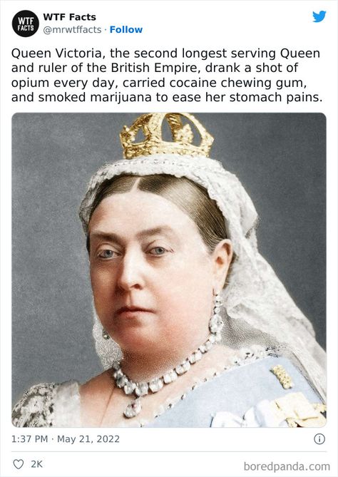 Fun History Facts, Weird Historical Facts, Cool History Facts, British History Facts, Funny History Facts, Random History Facts, Weird Fun Facts, Interesting History Facts, History Fun Facts