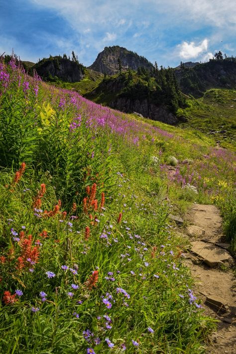 Hiking In North Cascades National Park (For First Timers) Washington State Hikes, Diablo Lake, Cascades National Park, Washington Hikes, Cascade National Park, North Cascades National Park, Hiking National Parks, Cascade Mountains, Plan A Trip