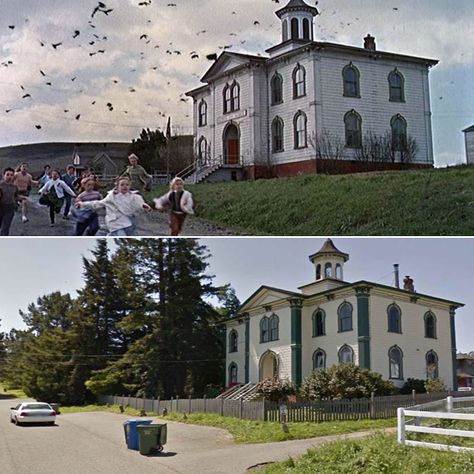 Movie Locations Then and Now |- The schoolhouse from 'The Birds' Bodega Bay California, Alfred Hitchcock The Birds, Bodega Bay, Famous Houses, Movie Locations, Marty Mcfly, Thriller Film, Richard Gere, John Travolta