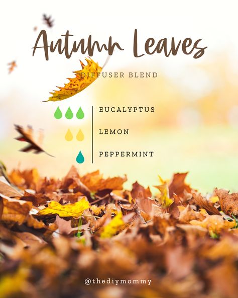 Fall Air Diffuser Blend, Good Vibes Essential Oil Blend, Early Fall Diffuser Blends, Rainy Fall Diffuser Blend, Fresh Fall Diffuser Blends, September Diffuser Blends Young Living, Aroma Diffuser Essential Oils, October Essential Oil Blends, Clean Room Diffuser Blend