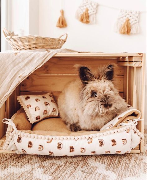 Boho Bunny Room, Boho Bunny Cage, Bunny Cage Aesthetic, Cute Bunny Cages, Bunny House Ideas, Cute Bunny Cage Ideas, Diy Bunny House, Aesthetic Bunny Cage, Bunny Cage Ideas Indoor