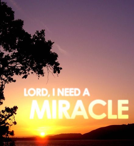 God, I Need a Miracle Right Now!  Jesus knows your pain and desires you to call out to Him for help. In one time or another we find ourselves with a desperate need. A need that is so strong only a supernatural intervention can suffice. It may be that you need a miracle of deliverance from addiction, healing from sickness or injury, help with financial burdens, restoration of a relationship, freedom from sin, or another sorrow of turmoil. Whatever miracle you are seeking, it can only be received I Need A Miracle, Miracle Quotes, Words With Friends, Miracle Prayer, Prayers For Healing, Prayer Board, A Miracle, Walk By Faith, Power Of Prayer