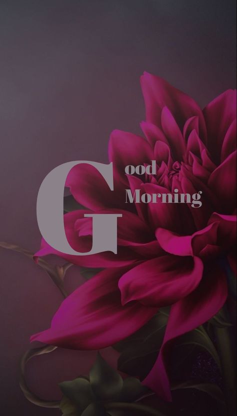 Gud Morning Images Latest, Morning Flowers Aesthetic, People Who Love Drama, Good Morning Aesthetic Pictures, Happy Morning Wishes, Good Morning Asthetic Wishes, Good Mrng Wishes, G Morning Pics, Good Morning Aesthetic