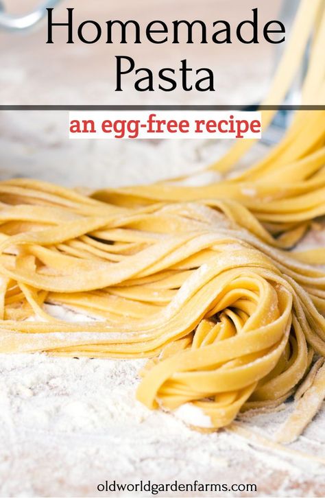 You can't beat the taste of homemade pasta. Here are the best instructions to make egg-free pasta. Use it right away or dry and freeze for later use. #homemadepasta #veganpasta #eggfreepasta Egg Free Homemade Pasta, Homemade Gluten Free Egg Free Pasta, No Egg Pasta Recipe, Homemade Noodles No Egg, Homemade Pasta No Egg, Pasta Without Eggs Recipe, Eggless Noodles Recipes, Egg Free Pasta Dough, Homemade Eggless Pasta