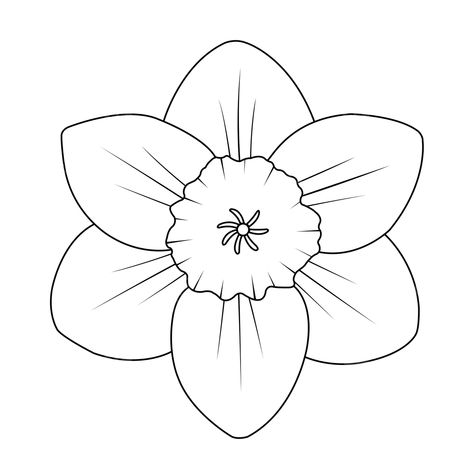 Daffodil Outline Drawing, Daffodil Flower Drawing Simple, Dafodill Flowers Drawing, Daffodil Outline, Daffodils Drawing, Daffodil Clipart, Petals Drawing, Daffodil Drawing, Flower Drawing Simple