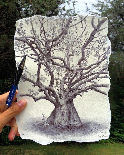 Inside the Well-Traveled Sketchbooks of Artist Dina Brodsky | Colossal Croquis, Dina Brodsky, Colossal Art, Watercolor Sketchbook, Modern Crafts, Wow Art, Sketchbook Journaling, Tree Drawing, Detailed Drawings