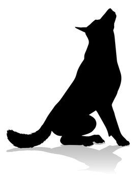 Black Dogs Breeds, Alsatian Dog, K9 Training, Wolf Silhouette, Silhouette People, Animal Icon, Dog Vector, Dog Poster, Animal Silhouette