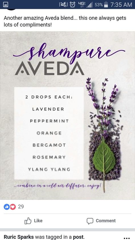 Aveda shampure diffuser blend Doterra Diffuser Blends, Essential Oil Diffuser Blends Recipes, Be Calm, Essential Oil Diffuser Recipes, Yl Essential Oils, Oil Diffuser Recipes, Essential Oil Blends Recipes, Essential Oil Mixes, Diffuser Recipes