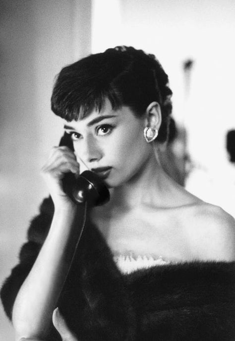 Young Audrey Hepburn in Black is listed (or ranked) 30 on the list 30 Pictures of Young Audrey Hepburn Aubrey Hepburn, Audrey Hepburn Photos, Toni Garrn, Audrey Hepburn Style, Hepburn Style, Lauren Bacall, Lily Aldridge, On The Phone, Charlize Theron