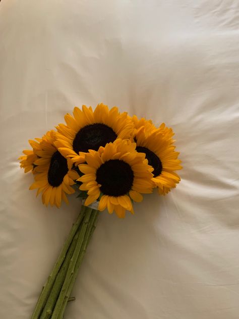 Sunflower Asthetic Picture, Sunflower Bouquet Aesthetic, Sunflower Pictures Photography, Flor Aesthetic, Sunflowers Aesthetic, Collage Scrapbook Layouts, Aesthetic Sunflower, Sunflower Aesthetic, Birthday Flowers Bouquet