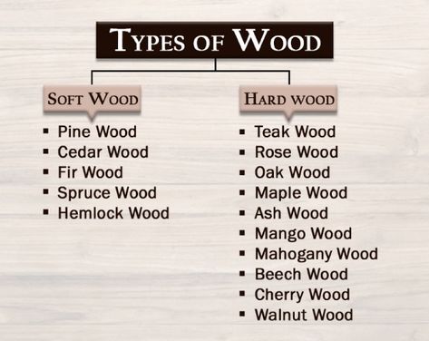 Types Of Wood For Carving, Wood Types Chart, Workbench Setup, Material Names, Woodworking Knowledge, Interior Knowledge, Lath Art, Lumber Sizes, Types Of Timber