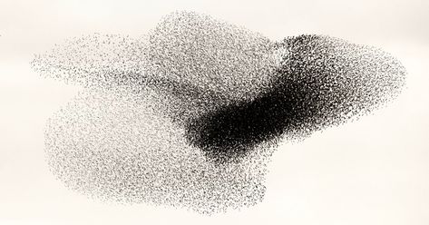 The Transfixing Beauty of Starling Murmurations - The New York Times Starling, Murmuration Art, Gray Owl, Japanese Landscape, Japanese Woodblock Printing, 3d Warehouse, Organic Shapes, White Photography, Ink Drawing