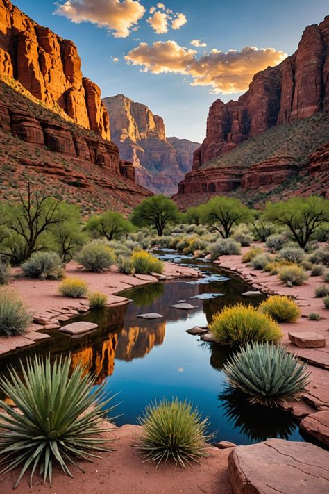 Discover the Top 7 Outdoor Activities in Arizona! Quito, Nature, Sedona Arizona Aesthetic, Arizona Desert Aesthetic, Great Canyon, Whimsical Photos, Gold Canyon Arizona, Grand Canyon Photography, Grand Canyon Pictures