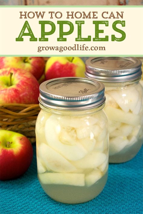 How To Can Apple Slices, Canning Apple Slices, Can Apples Recipes, How To Can Apples, Apple Canning Ideas, Preserved Apples, Apple Recipes For Canning, Apple Canning, Cinnamon Apples Recipe