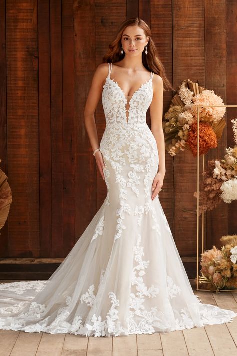 Wedding Dress Fit And Flare Lace, Bridal Gown Fit And Flare, Lace Fit And Flare Wedding Dress Open Back, For And Flare Wedding Dress, Fit And Flare Wedding Dress Strapless, Fit And Flare Wedding Dress Lace, Fit To Flare Wedding Dresses, Lace Fit And Flare Wedding Dress, Wedding Dresses Slim Fit