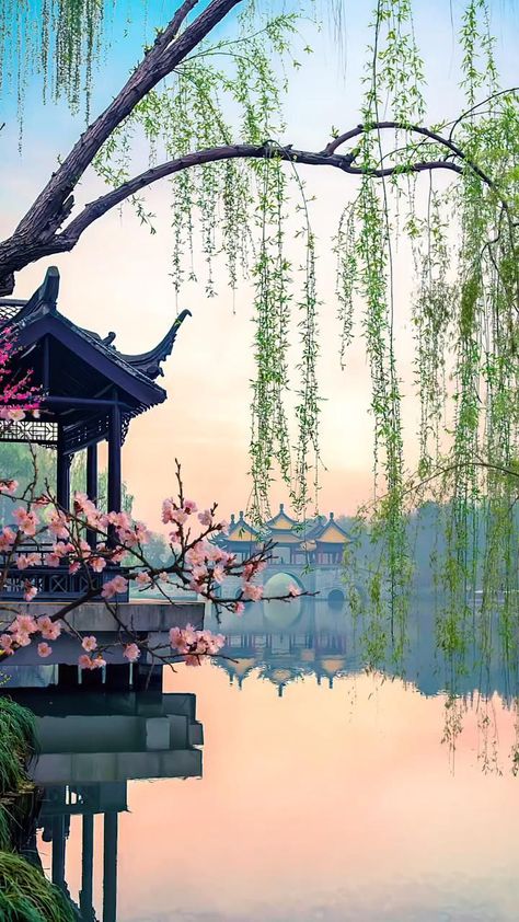 West Lake, Yangzhou, China [Video] | Beautiful images nature, Nature photography, Nature illustration China Video, Yangzhou, Good Morning Beautiful Pictures, Beautiful Images Nature, Beautiful Landscape Wallpaper, Fantasy Art Landscapes, Beautiful Places Nature, Nature Gif, Beautiful Nature Wallpaper