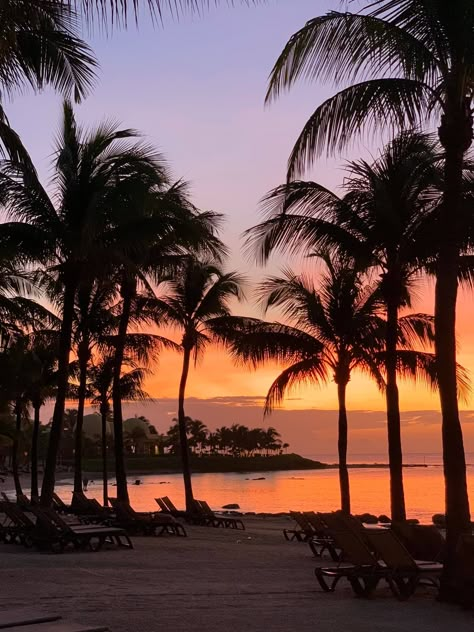 Beach Sunset Wallpaper, Ibiza Spain, Palm Trees Beach, Scenery Pictures, Pretty Landscapes, Sunset Nature, Best Sunset, Sunset Wallpaper, Photo Tree