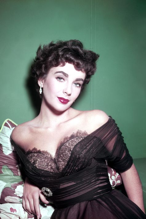 Elizabeth Taylor - 1955   - HarpersBAZAAR.com Stars D'hollywood, Ava Gardner, Ingrid Bergman, Katharine Hepburn, Lauren Bacall, Hollywood Icons, Actrices Hollywood, Sophia Loren, Hollywood Glam