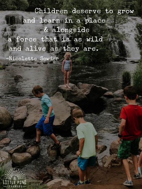 30+ Quotes About Children and Nature That Will Inspire Outdoor Play • Little Pine Learners Quotes About Children, Citation Parents, Citation Nature, Childhood Quotes, 30 Quotes, Outdoor Quotes, Nature Quotes, Parenting Quotes, Positive Parenting