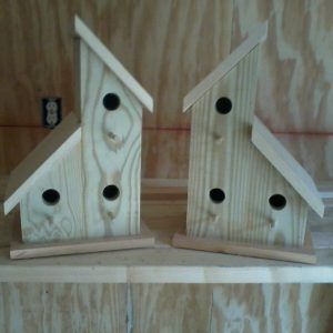 Martin House Plans, Purple Martin Bird, Martin Bird House, Martin Bird, Birdhouse Plans, Bird House Plans Free, Purple Martin House, Large Bird Houses, Homemade Bird Houses