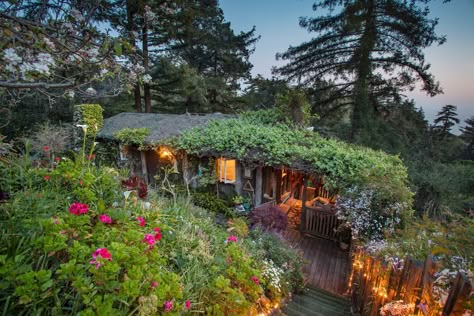 Rustic Log Cabin, Log Siding, Cabins For Sale, Highway 1, Big Sur California, Forest View, Secluded Beach, Outdoor Swing, Hot Tub Outdoor