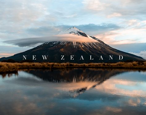 Check out this @Behance project: “New Zealand” https://www.behance.net/gallery/73212919/New-Zealand Aesthetic New Zealand Pictures, New Zealand Photos, New Zealand Landscape Photography, New Zealand Aesthetic Wallpaper, New Zealand Wallpaper, Vision Journal Ideas, New Zealand Forest, New Zealand Aesthetic, New Zealand Photography