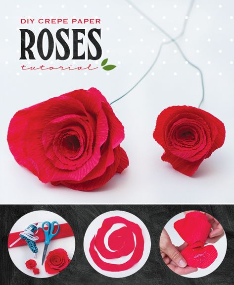 Kentucky Derby® DIY #2: Crepe Paper Roses Tutorial // Hostess with the Mostess® Crepe Paper Roses Tutorial, Kentucky Derby Diy, Kentucky Derby Party Games, Kentucky Derby Themed Party, Roses Tutorial, Kentucky Derby Party Decorations, Derby Party Decorations, Crepe Paper Roses, Derby Ideas