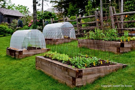 10 Stunning Landscape Ideas for a Sloped Yard | How To Build It Tiered Gardens, Vegetable Garden Beds, Raised Vegetable Gardens, Sloped Yard, Hillside Garden, Vegetable Garden Raised Beds, Sloped Backyard, Gardening Projects, Vegetable Garden Diy