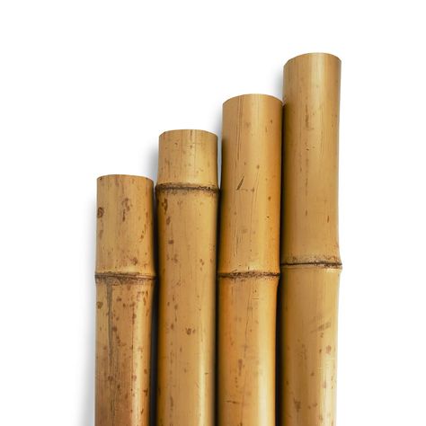 Natural Bamboo Poles | UK Bamboo Bamboo Decking, Golden Bamboo, Bamboo Curtains, Bamboo Poles, Fawn Colour, Bamboo Board, Curtain Pole, Bamboo Fence, Bamboo Crafts